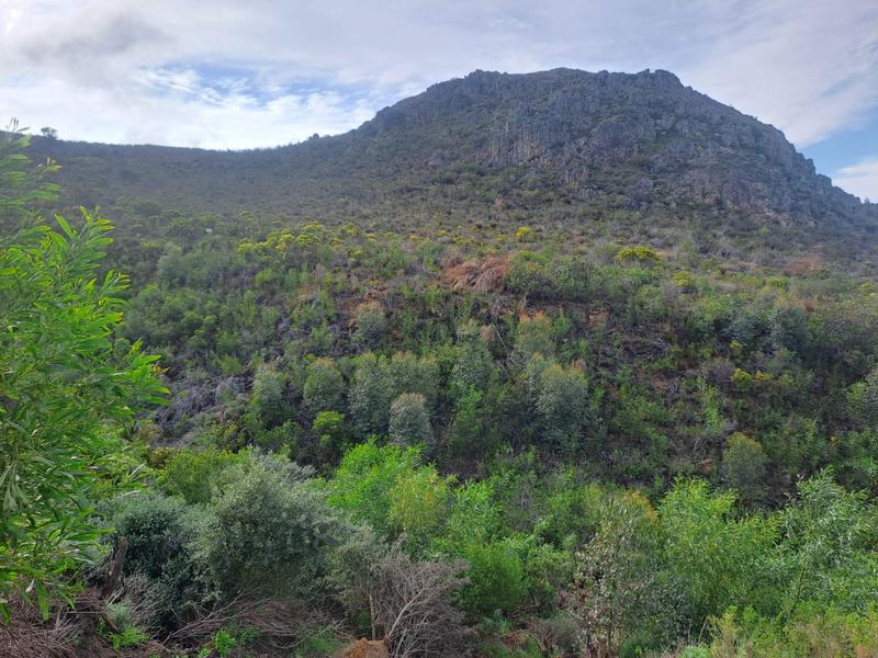 0 Bedroom Property for Sale in Chanteclair Western Cape